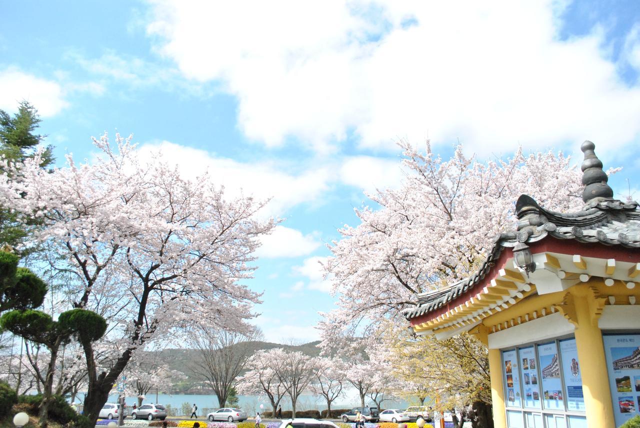 Corea Condo 慶州市 エクステリア 写真
