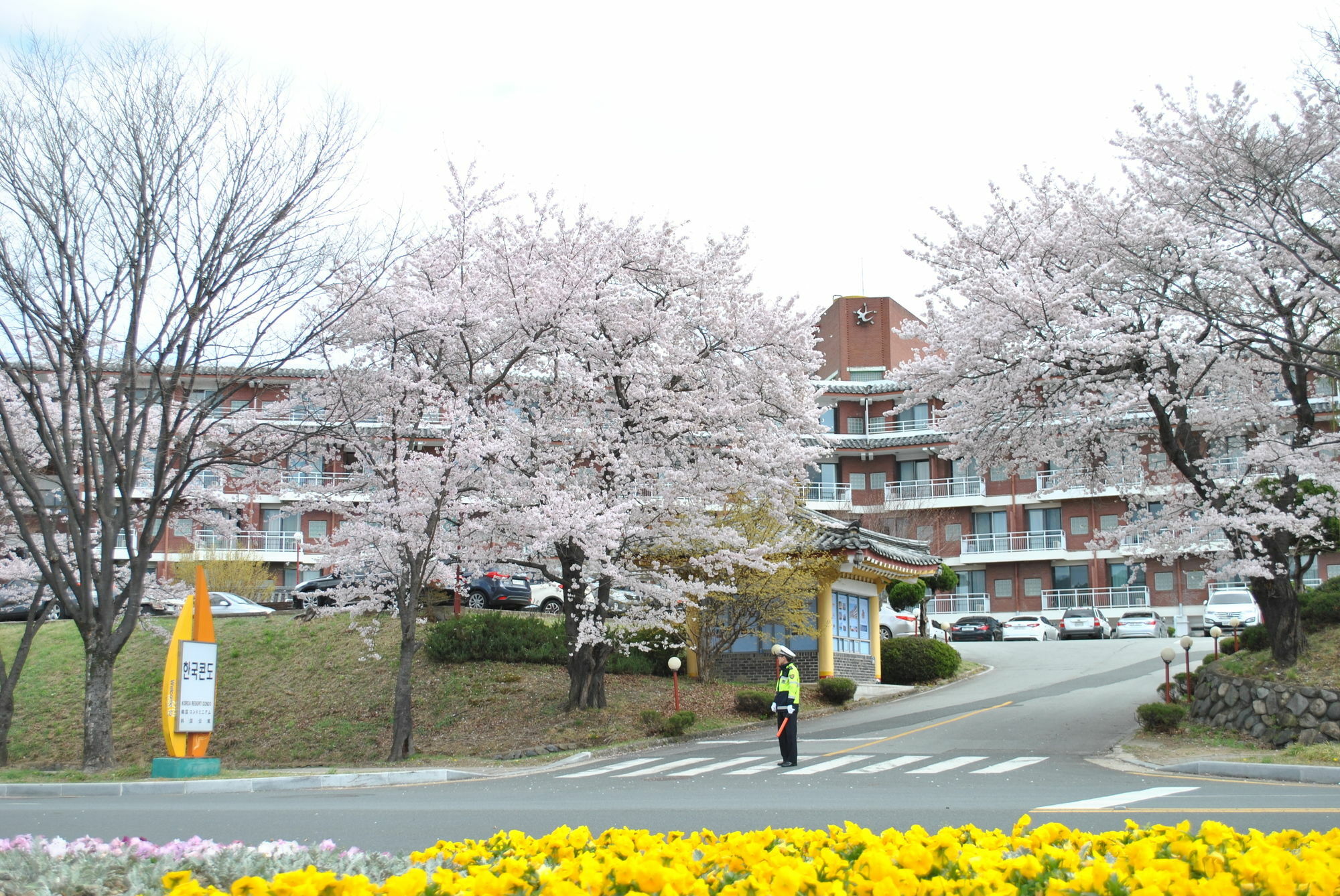 Corea Condo 慶州市 エクステリア 写真