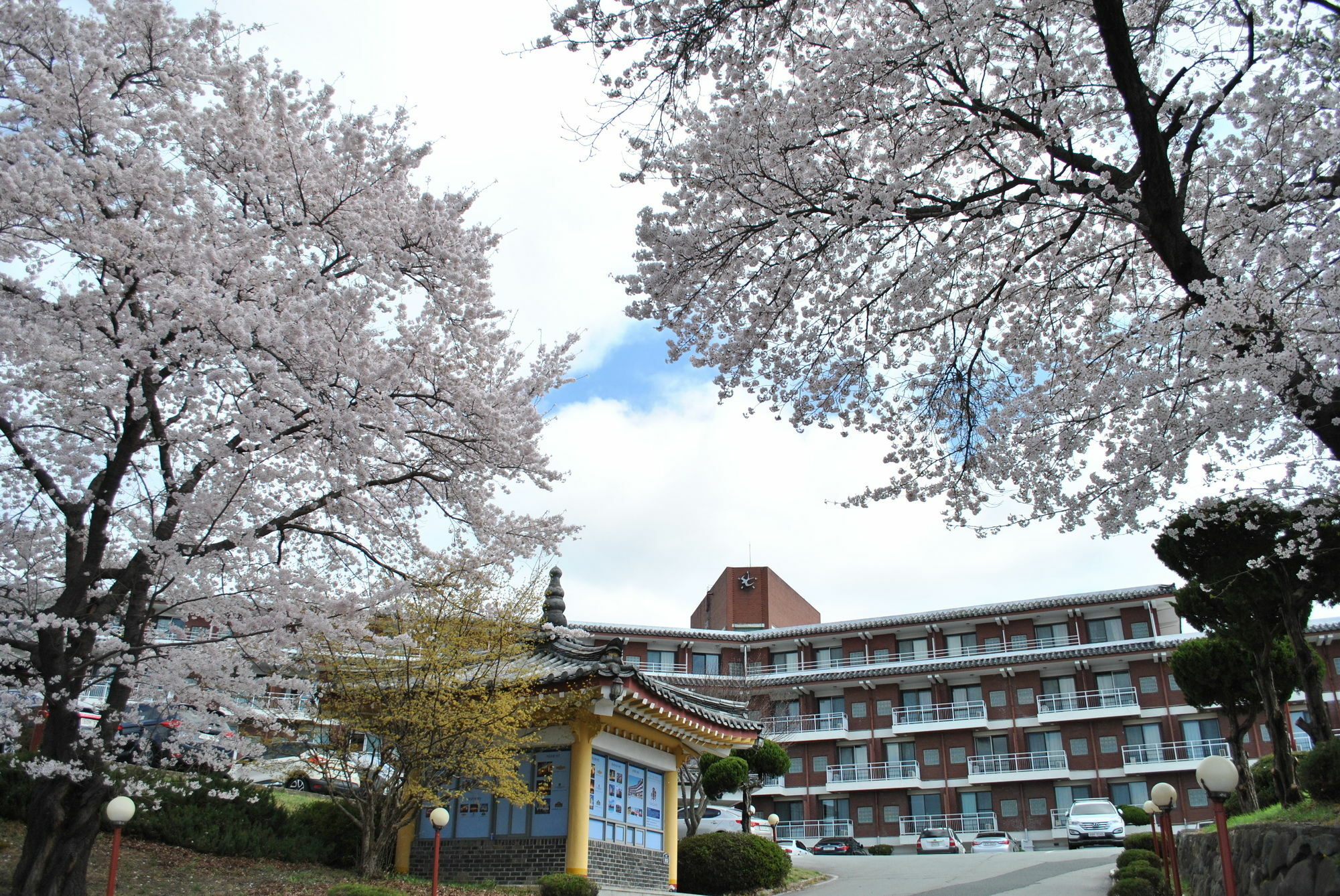Corea Condo 慶州市 エクステリア 写真